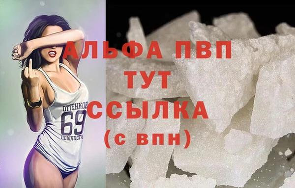 ГАЛЛЮЦИНОГЕННЫЕ ГРИБЫ Беслан
