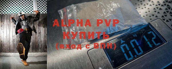 ГАЛЛЮЦИНОГЕННЫЕ ГРИБЫ Беслан
