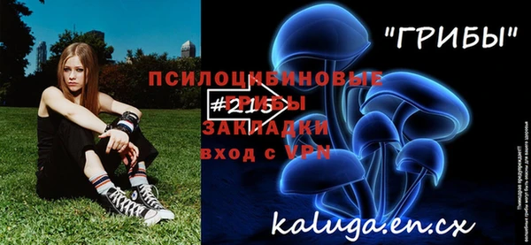 ешки Горнозаводск