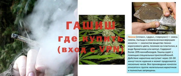 ГАЛЛЮЦИНОГЕННЫЕ ГРИБЫ Беслан