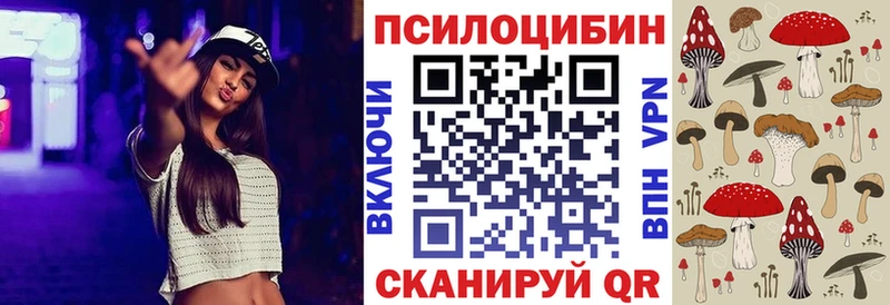 где продают наркотики Заринск Псилоцибиновые грибы Psilocybine cubensis
