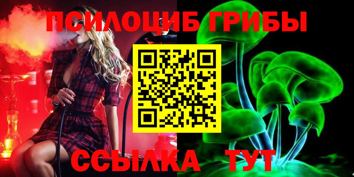 Заринск  Галлюциногенные грибы MAGIC MUSHROOMS  Вход с VPN  Галлюциногенные грибы MAGIC MUSHROOMS 