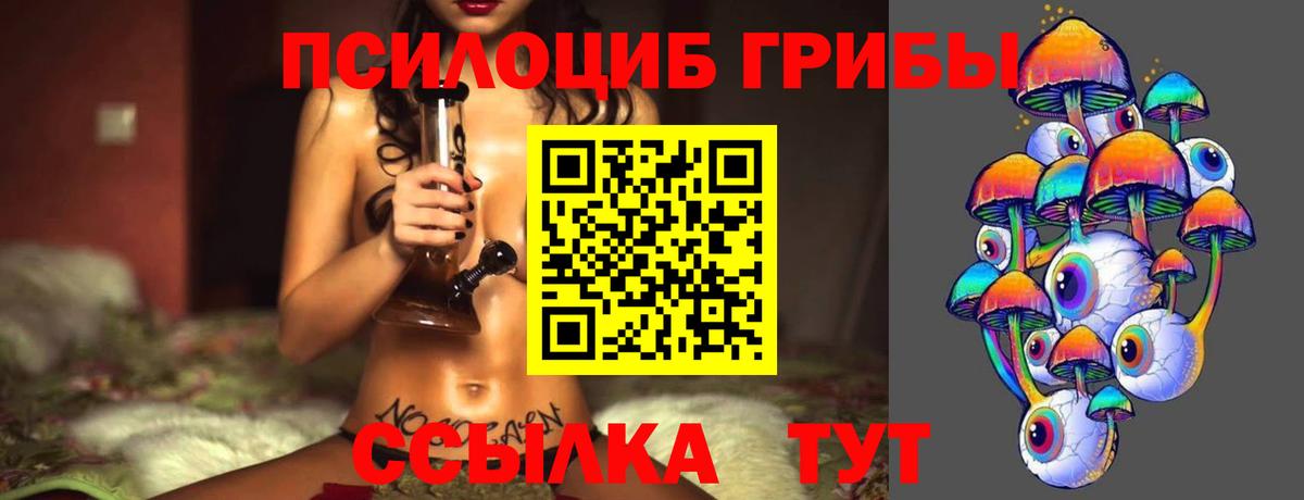 Галлюциногенные грибы Psilocybine cubensis Заринск